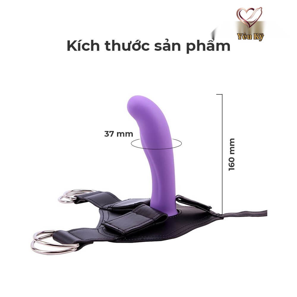 Dương vật giả có dây đeo Chisa Amor Strap-on - Ảnh 2