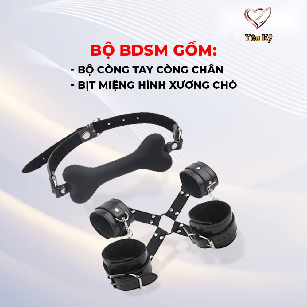 Bộ dụng cụ BDSM Chisa Behave! Luxury Fetish Fully Restrain You Lover Set - Ảnh 5