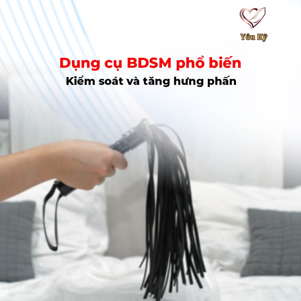 Roi da BDSM Chisa Behave! Luxury Fetish Pleasure Whip - Ảnh 5