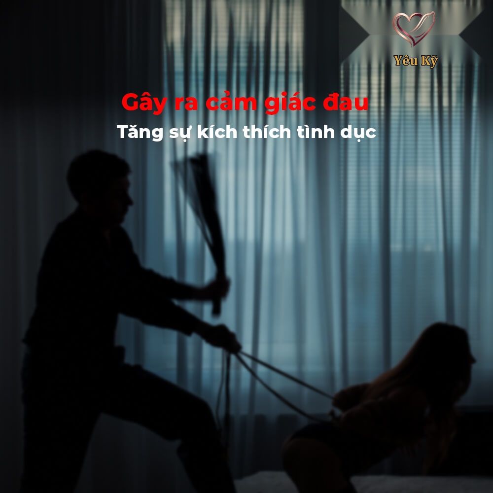 Roi da BDSM Chisa Behave! Luxury Fetish Pleasure Whip - Ảnh 6
