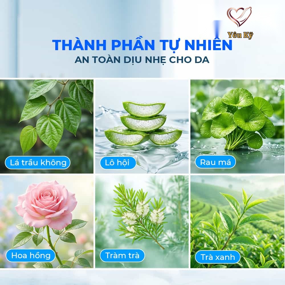 Dung dịch vệ sinh nam Firon Prime Essence 100ml - Dạng bọt, hương bạc hà tươi mát - Ảnh 3