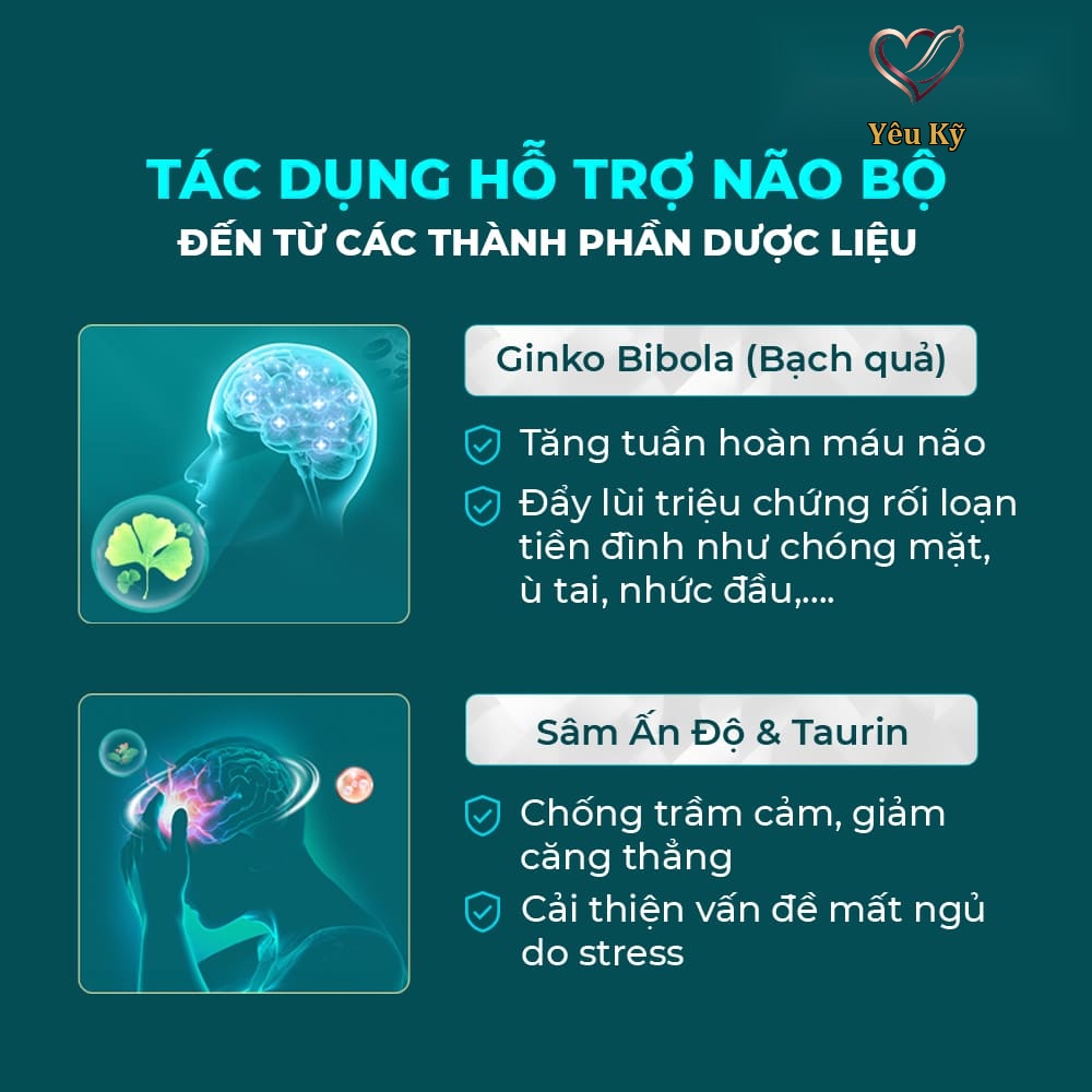 Viên uống bổ não, tăng cường trí nhớ Powergra Neuro Balance - Hộp 60 viên - Ảnh 3