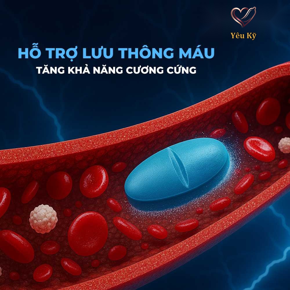 Viên uống hỗ trợ cương dương, tăng cường sinh lý Maxman - Hộp 10 viên - Ảnh 3