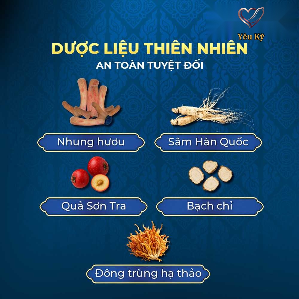 Viên uống hỗ trợ cương dương, tăng cường sinh lý Ngựa Thái - Hộp 10 viên - Ảnh 3