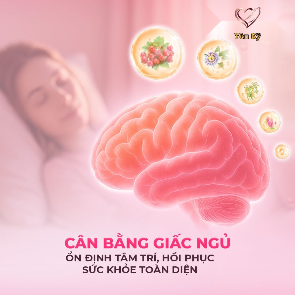 Viên uống cải thiện tình trạng mất ngủ Powergra Gentle Dreams - Hộp 60 viên - Ảnh 4