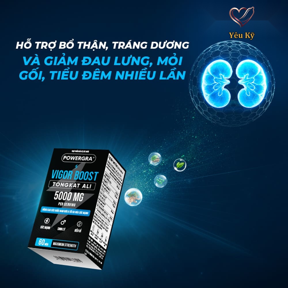 Viên uống phục hồi và tăng cường sinh lý nam giới Powergra Vigor Boost TongKat Ali - Hộp 60 viên - Ảnh 5